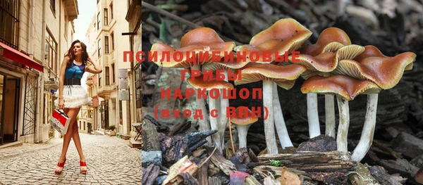 винт Лабытнанги