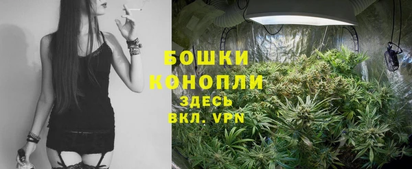 винт Лабытнанги