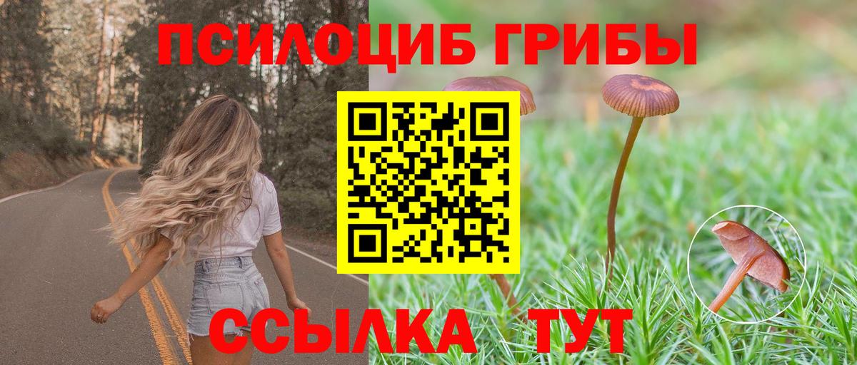 Галлюциногенные грибы прущие грибы Маркс