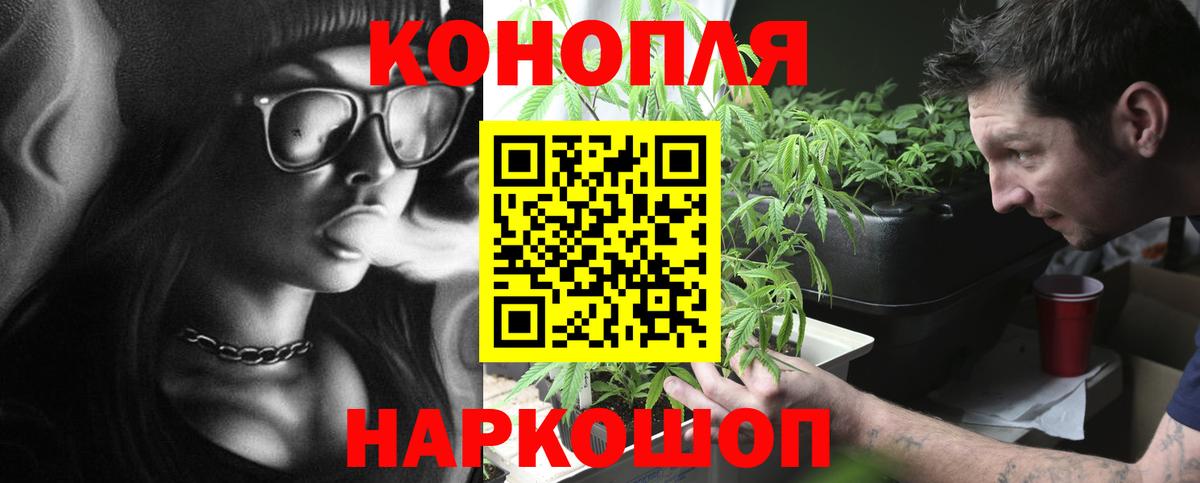 Каннабис сатива Маркс