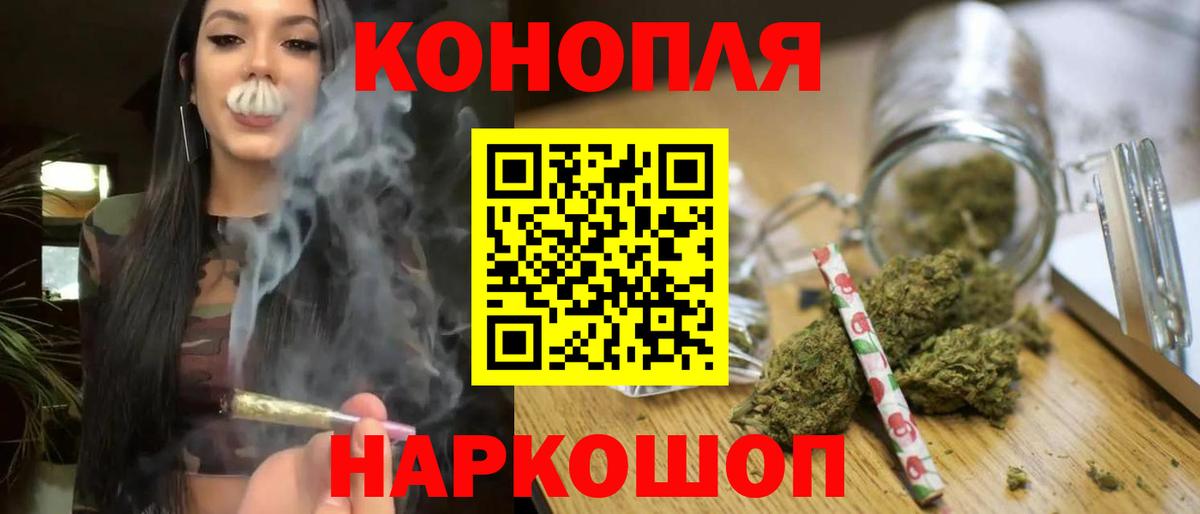Канабис Ganja  Маркс  Каннабис сатива  Марихуана сатива  Бошки марихуана сатива 